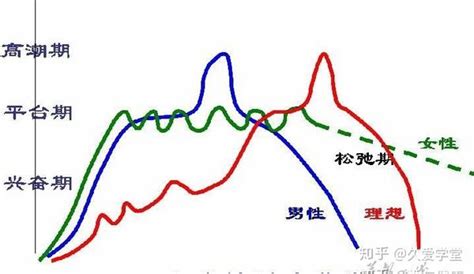 男女性需求|男女其实很不同：性生理差异